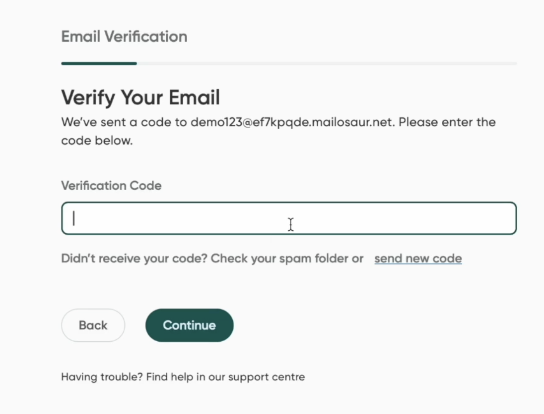 The Email Verification screen