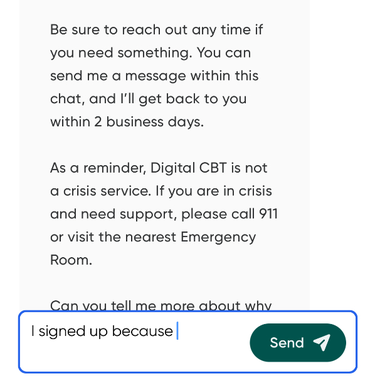 The chat screen