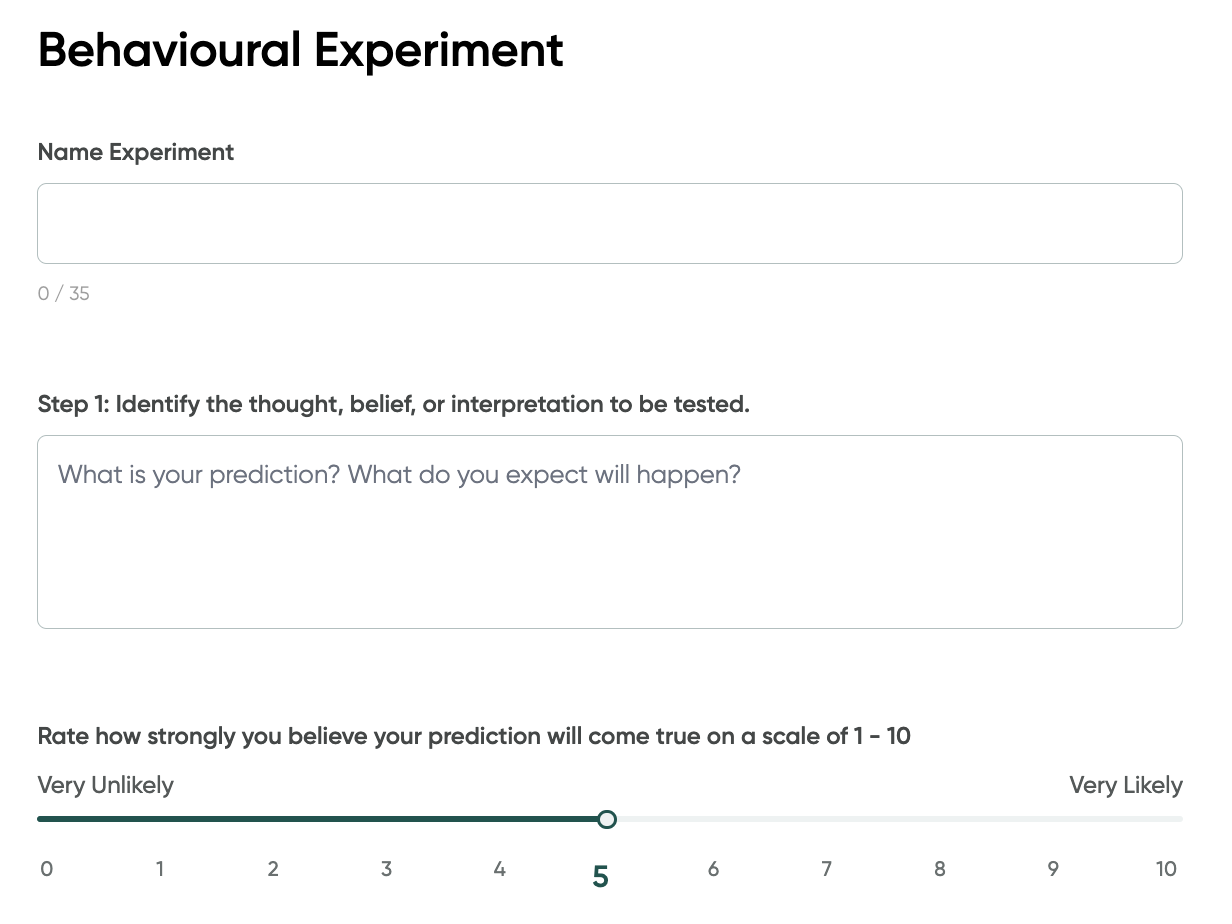 The page to create a new Behavioural Experiment