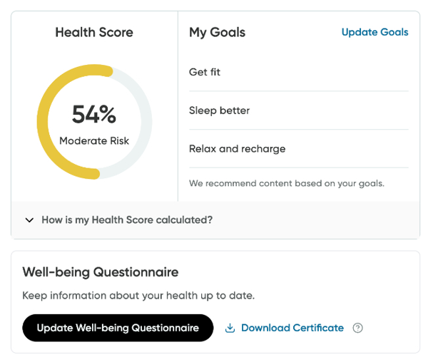A Well-being Questionnaire Result