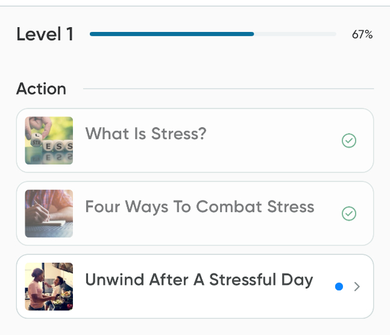 Levels and lessons in a mini course